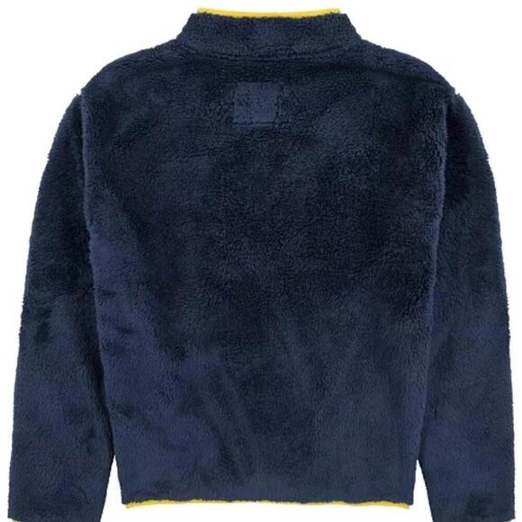 Levi's Little Boys Colorblocked Half Zip Pullover Sweatshirt - Picture 4 of 9
